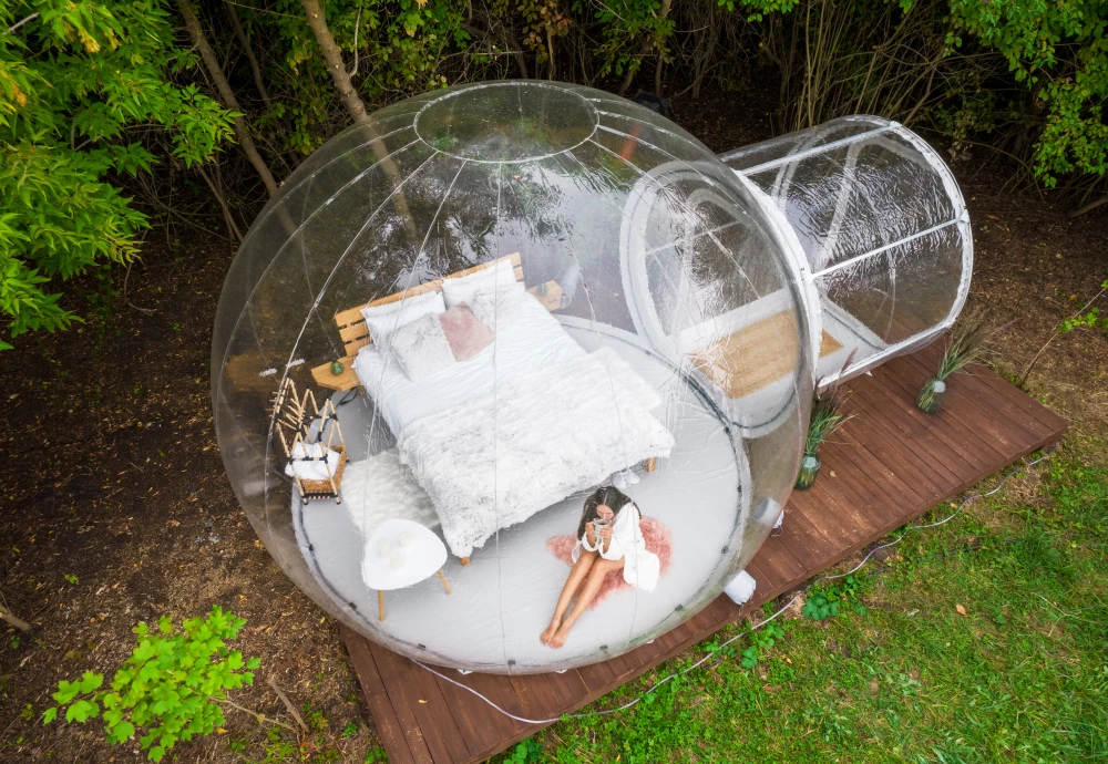 bubble tree tent buy