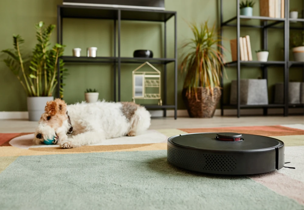 cleaning robot vacuum and mop