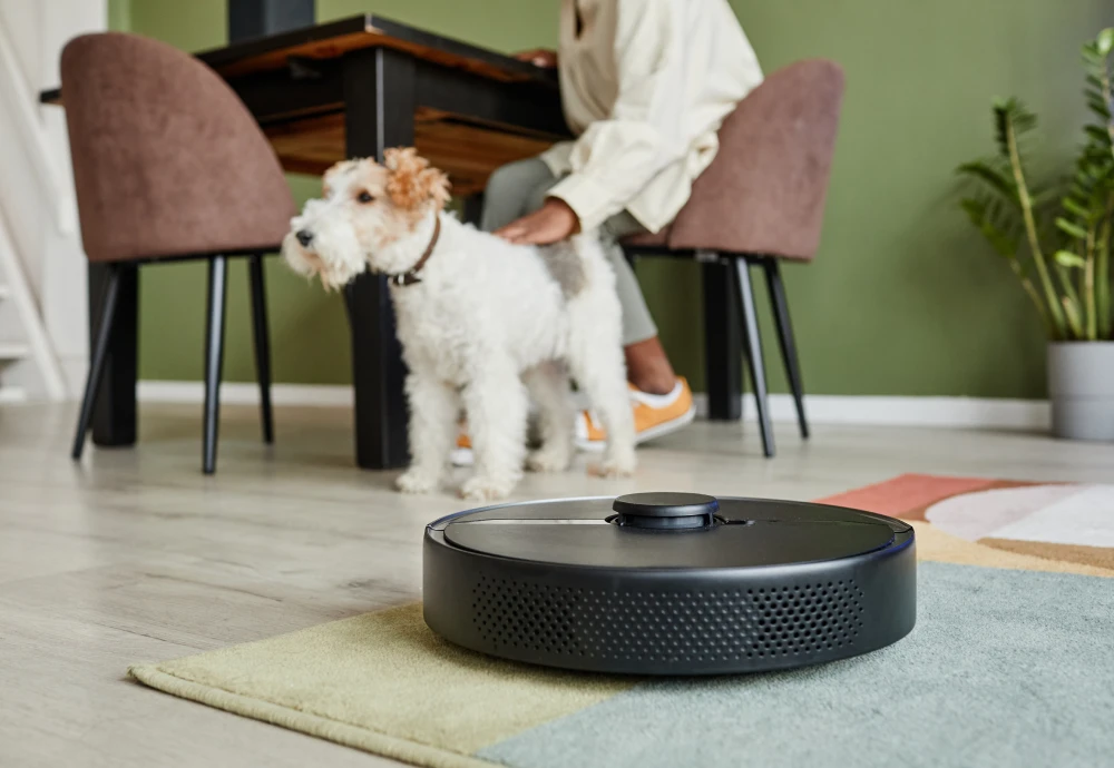 cleaning robot vacuum and mop